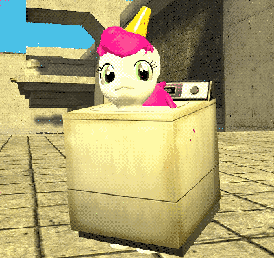 local pony becomes one with washing machine